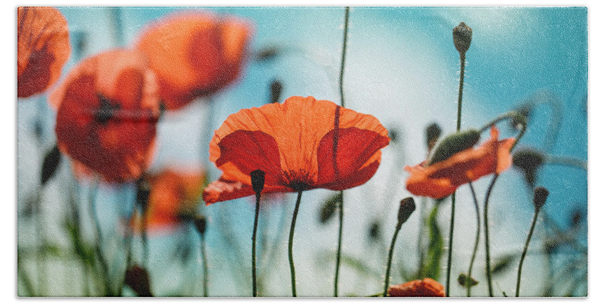 Poppy Hand Towel featuring the photograph Poppy Meadow by Nailia Schwarz