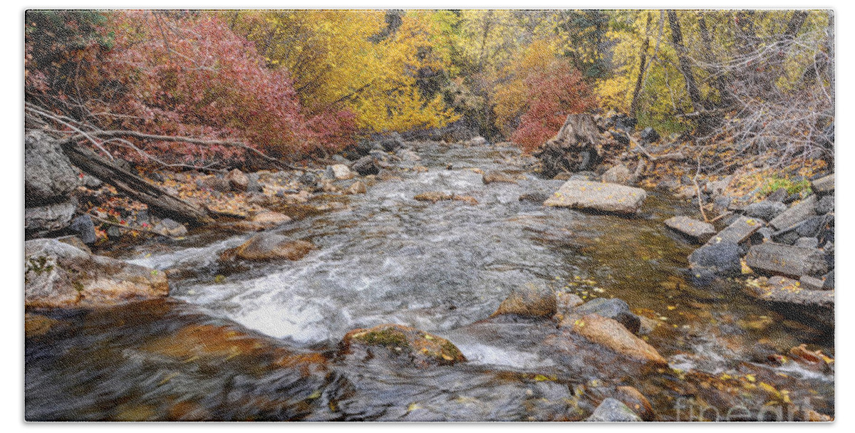 American Bath Towel featuring the photograph American Fork Canyon Creek in Autumn - Utah #3 by Gary Whitton