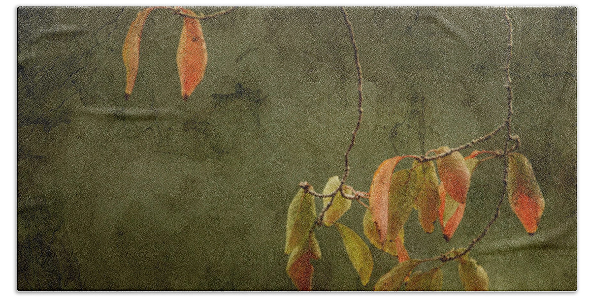 Autumn Hand Towel featuring the photograph Autumn Colours #3 by Eena Bo