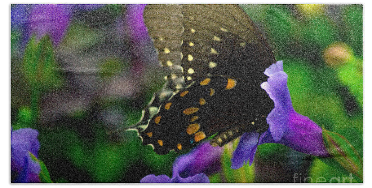 Black Hand Towel featuring the photograph Black Swallowtail #2 by Angela DeFrias