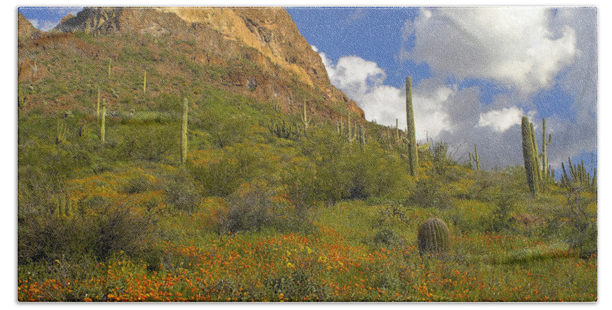 00176648 Bath Towel featuring the photograph California Poppy And Saguaro #2 by Tim Fitzharris