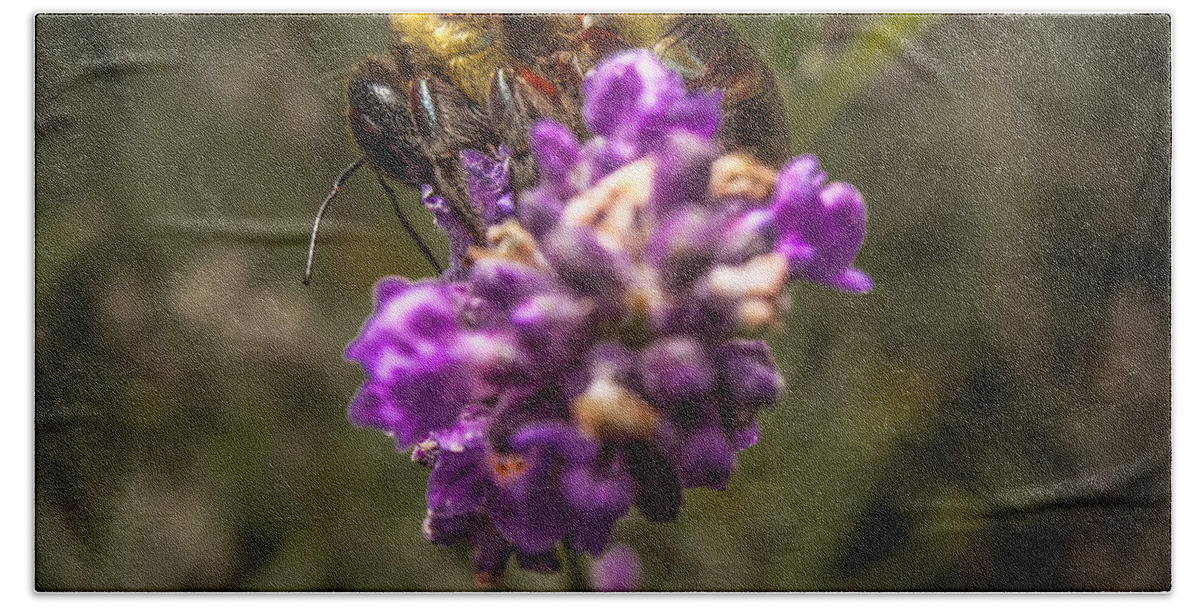 Flower Hand Towel featuring the photograph Carpenter Bee on a Lavender Spike by Ron Pate
