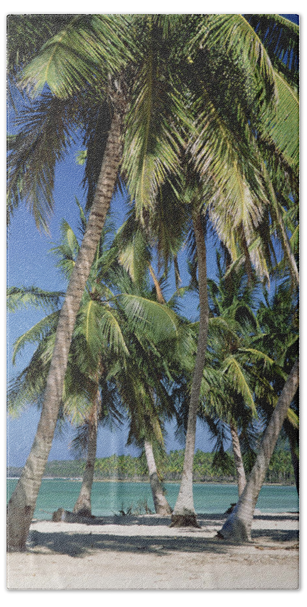 Feb0514 Bath Towel featuring the photograph Coconut Palms And Beach Dominican #2 by Konrad Wothe
