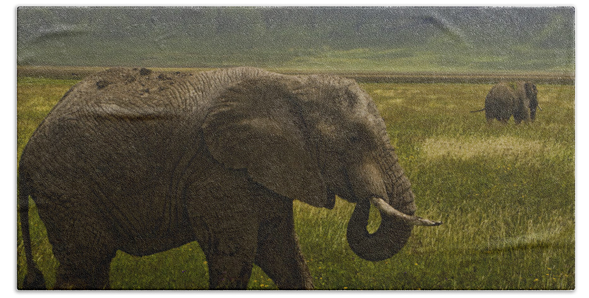 Loxodonta Africana Bath Sheet featuring the photograph Elephants  #0177 by J L Woody Wooden
