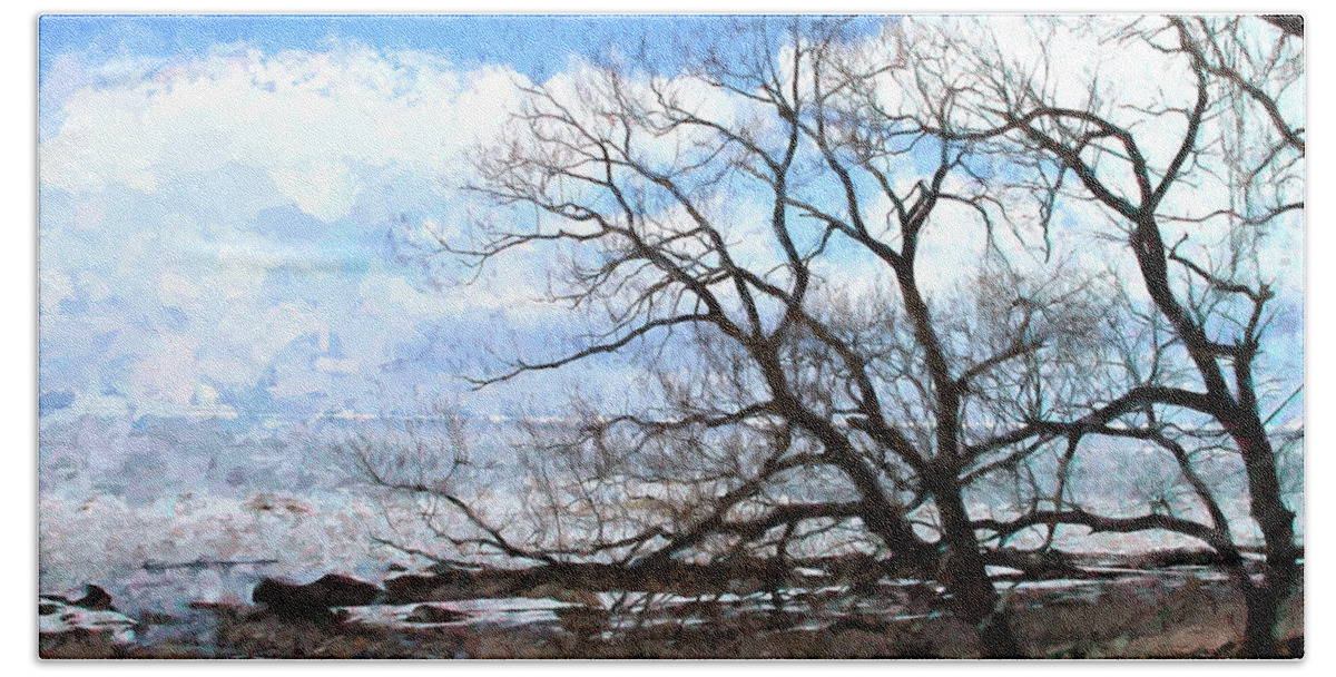 Lakes Bath Towel featuring the photograph Erie Shore in Winter #3 by John Freidenberg