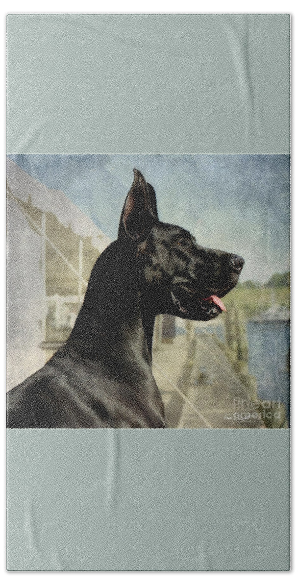 Great Dane Hand Towel featuring the photograph Great Dane by Fran J Scott