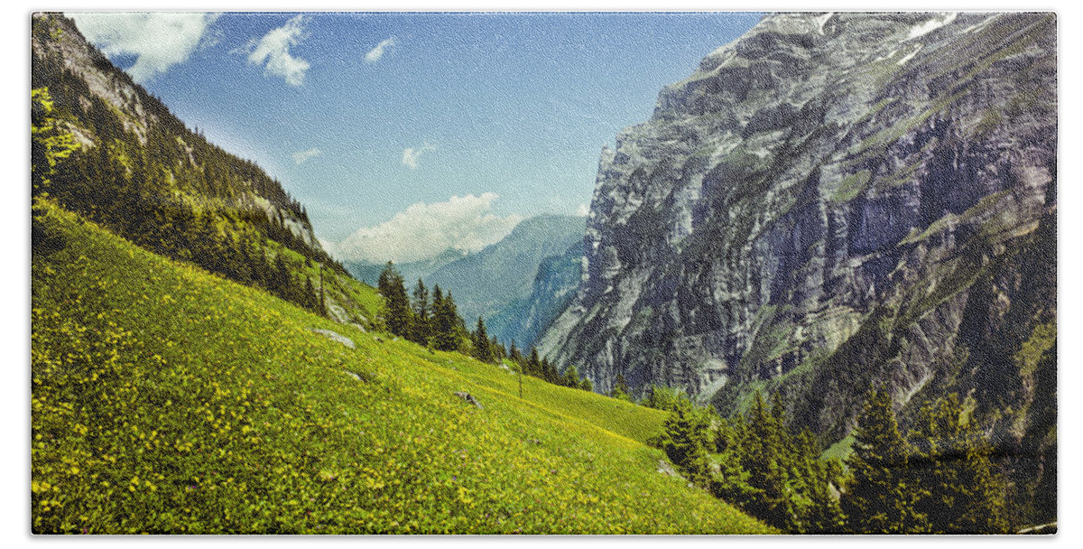 Alpine Hand Towel featuring the photograph Lauterbrunnen Valley in Bloom by Jeff Goulden