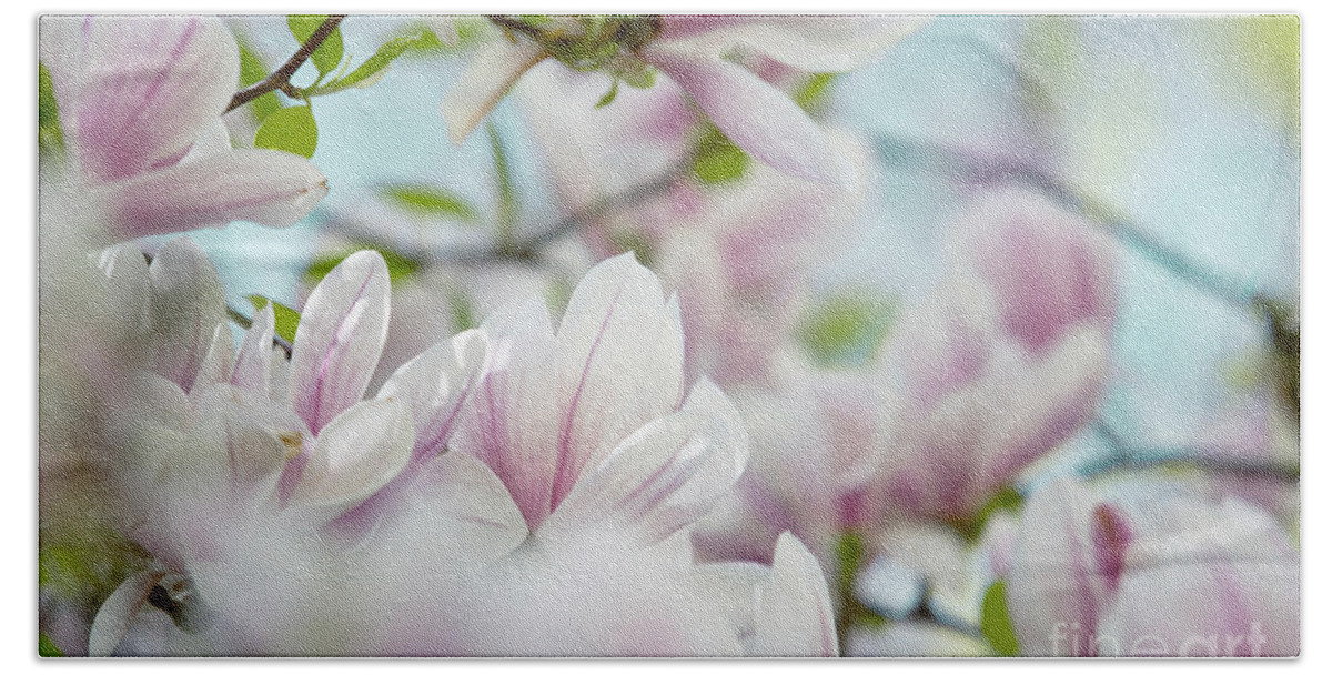 Magnolia Hand Towel featuring the photograph Magnolia Flowers #2 by Nailia Schwarz