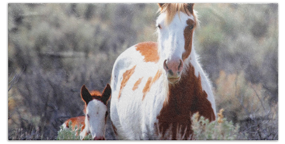 Horses Bath Towel featuring the photograph Momma And Baby In The Wild #2 by Athena Mckinzie
