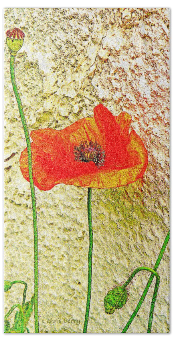 Nature Hand Towel featuring the photograph Morning Poppy #2 by Chris Berry