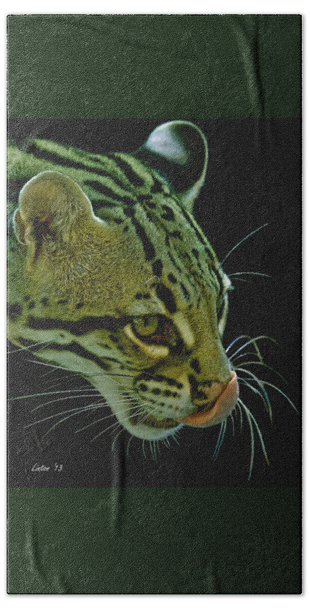 Ocelot Hand Towel featuring the photograph Ocelot #3 by Larry Linton