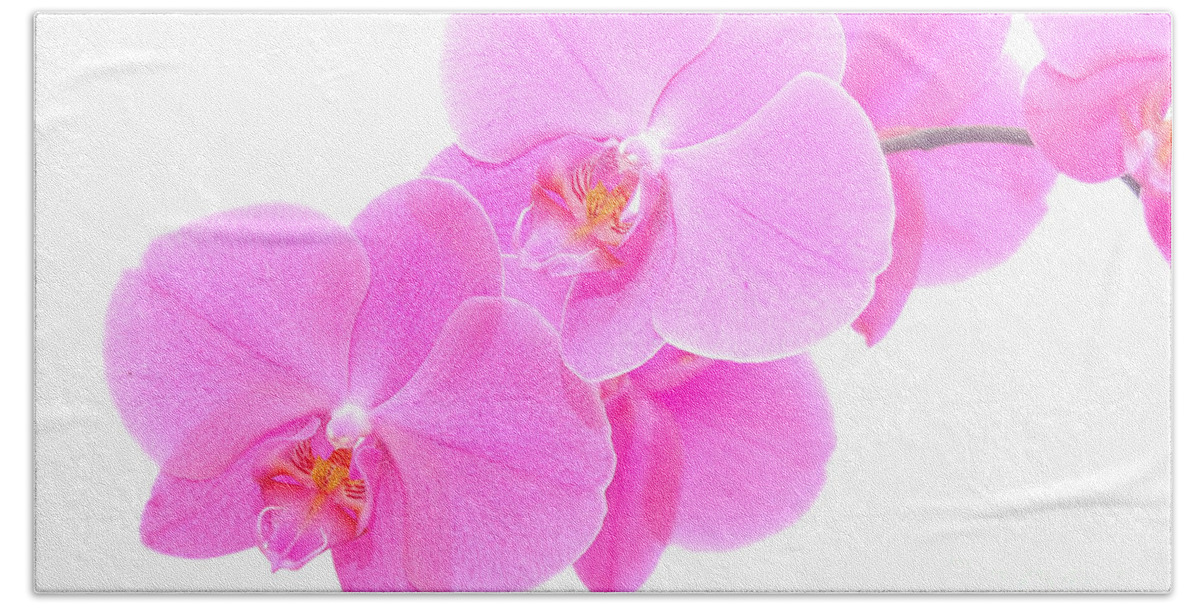 Background Hand Towel featuring the photograph Orchid isolated #2 by Michal Bednarek