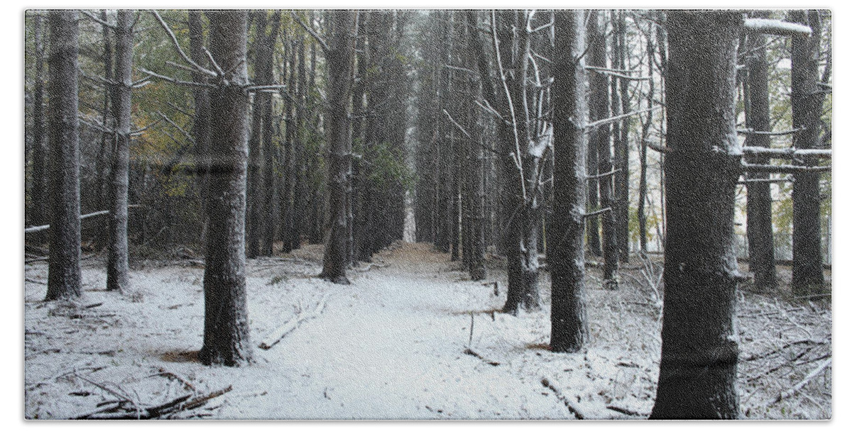 Landscapes Bath Towel featuring the photograph Pines in Snow #2 by Matthew Pace