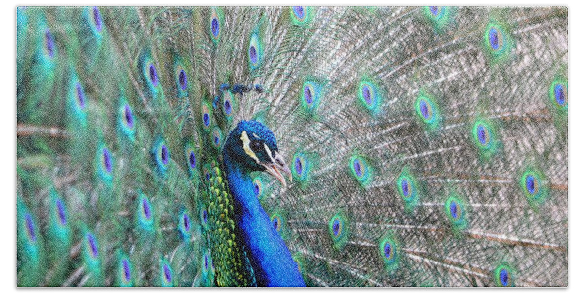 Peacock Bath Towel featuring the photograph Proud by Deena Stoddard