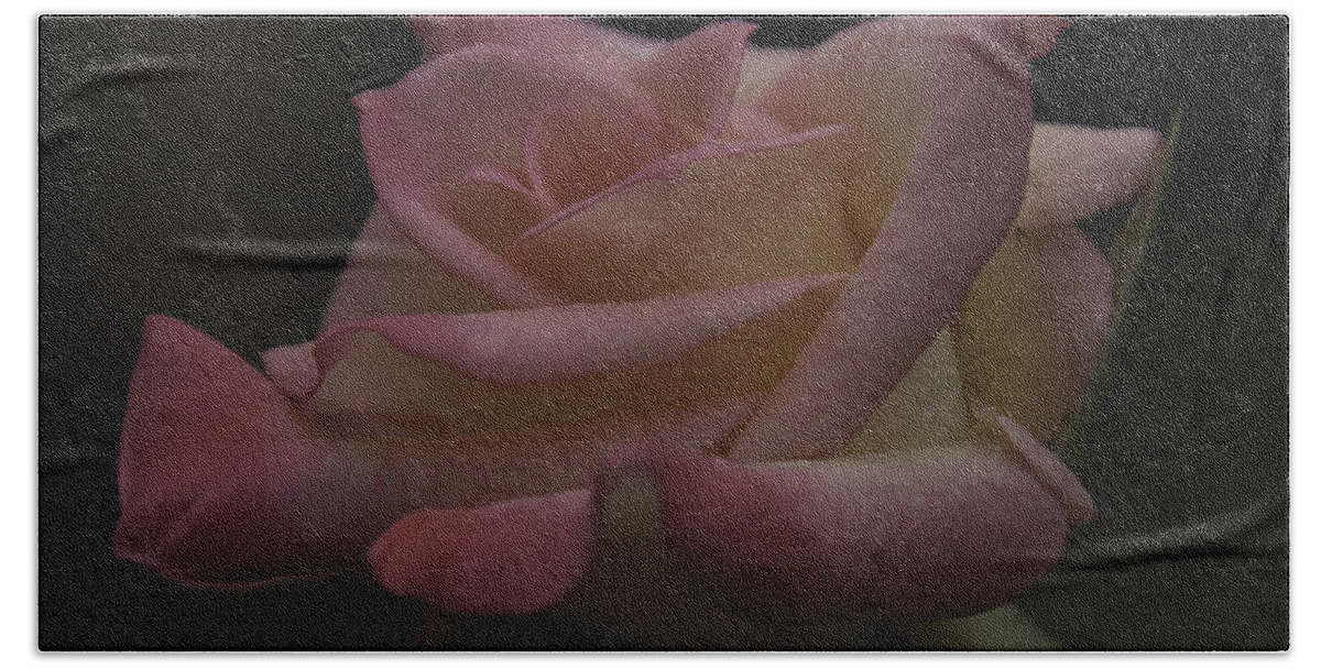 Rose Bath Towel featuring the photograph Rose #2 by Ronald Grogan