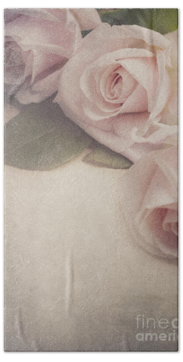 Roses Bath Towel featuring the photograph Roses on vintage background by Jelena Jovanovic