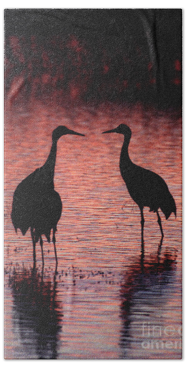 Birds Bath Towel featuring the photograph Sandhill cranes by Steven Ralser