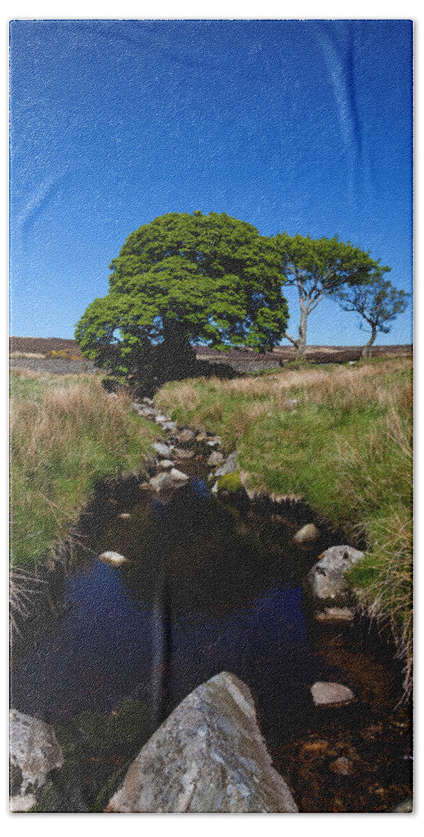 Photography Hand Towel featuring the photograph Small Group Of Trees, East Kippure #2 by Panoramic Images