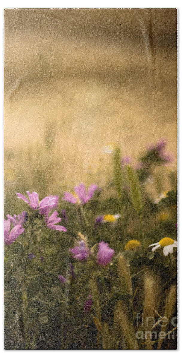Meadow Bath Towel featuring the photograph Spanish meadow #2 by Ang El