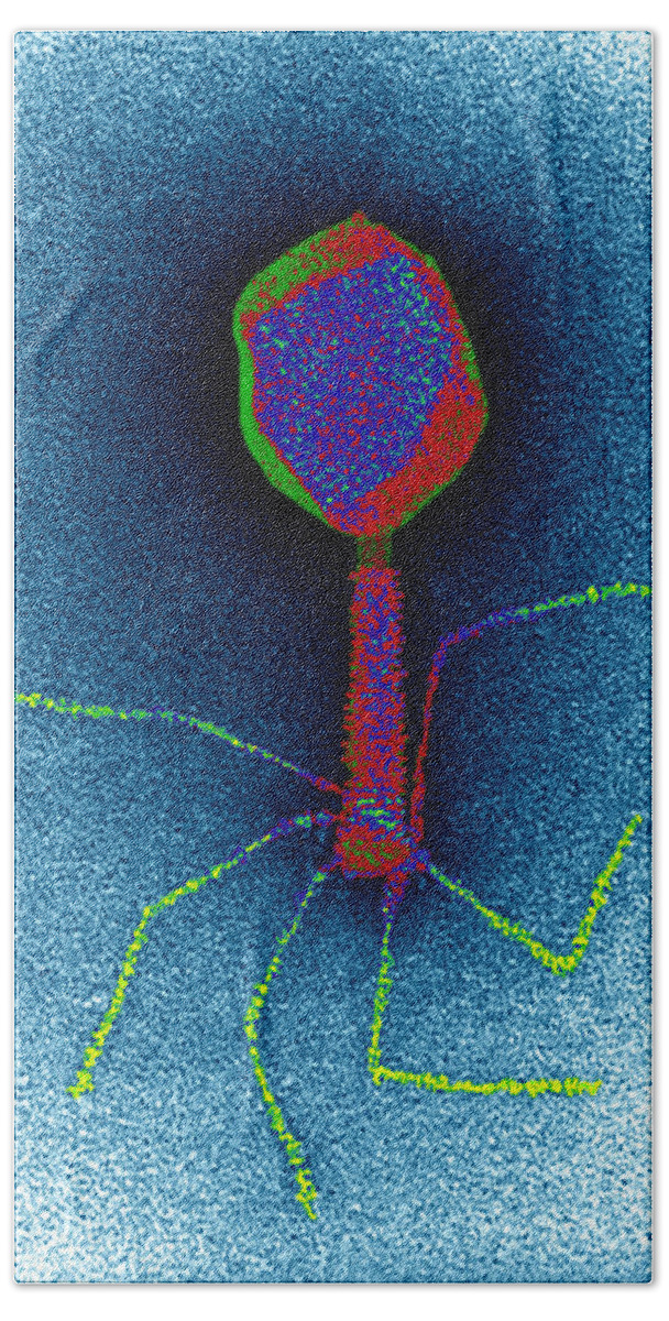 Bacteriophage Hand Towel featuring the photograph T-bacteriophages And E-coli #2 by Eye of Science