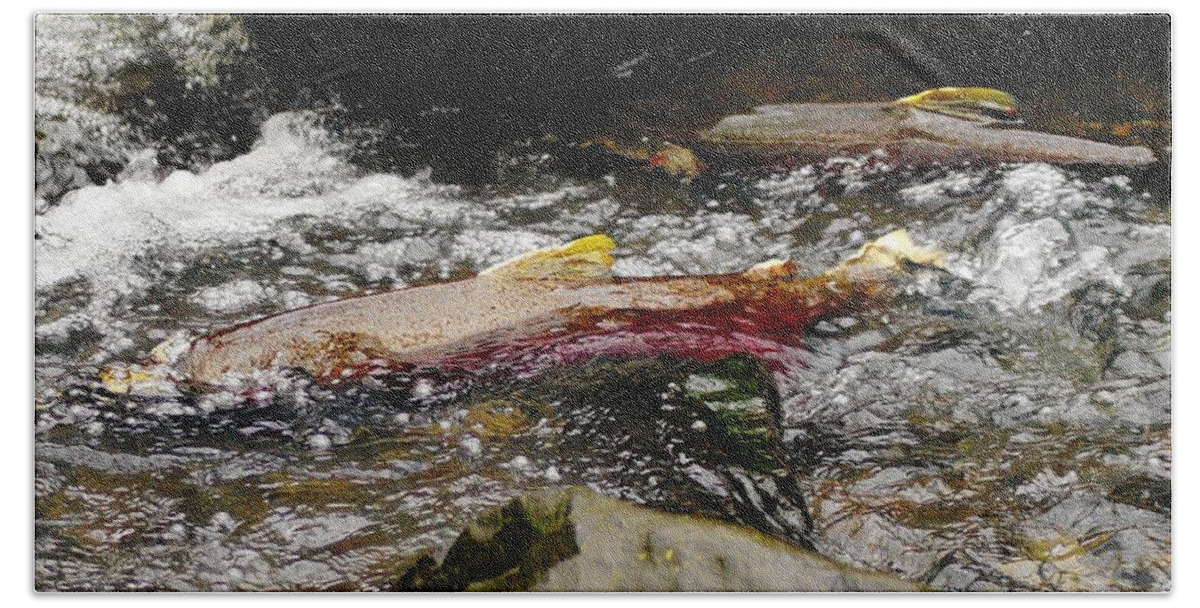 Fish Bath Towel featuring the photograph The Struggle #1 by Jeff Swan