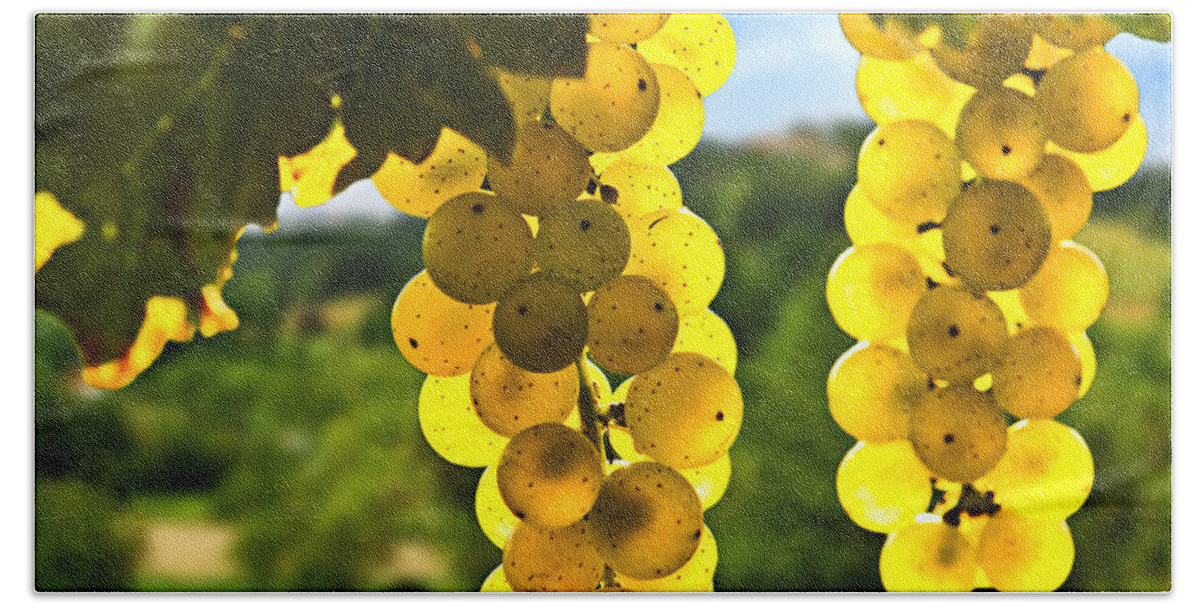 Green Bath Towel featuring the photograph Yellow grapes 1 by Elena Elisseeva