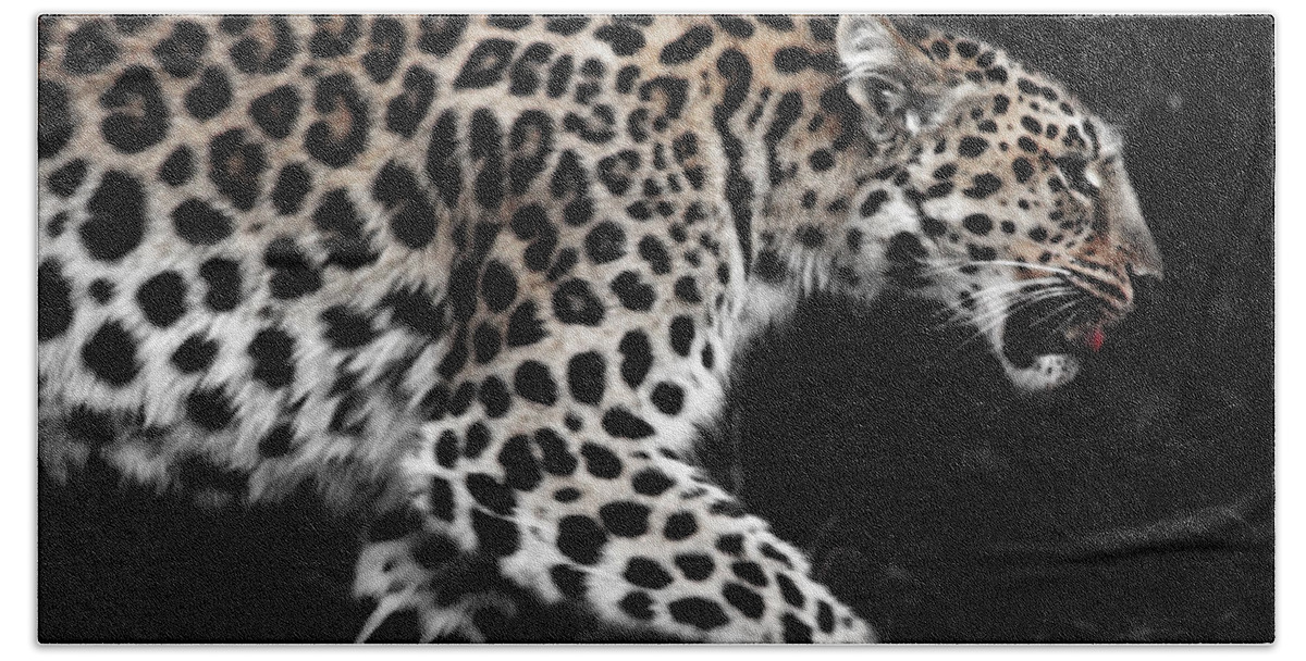 Amur Hand Towel featuring the photograph Amur Leopard #3 by Martin Newman