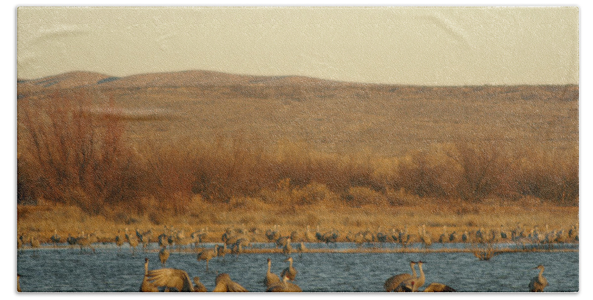  Bath Towel featuring the photograph Birds in Bosque #1 by James Gay