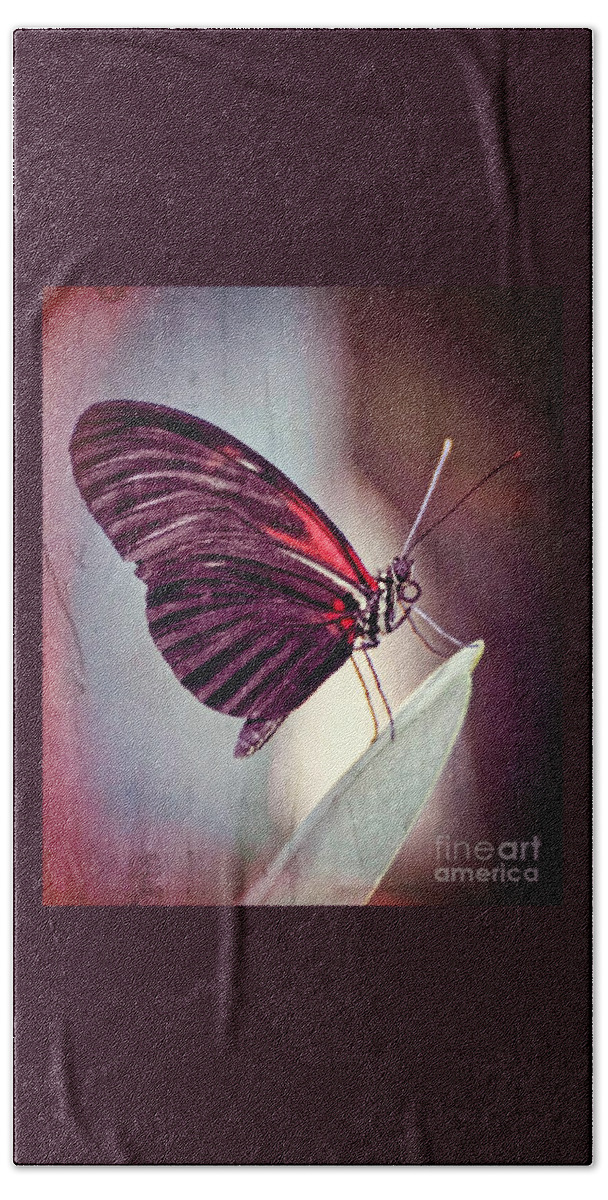 Butterfly Bath Towel featuring the photograph Butterfly #2 by Savannah Gibbs