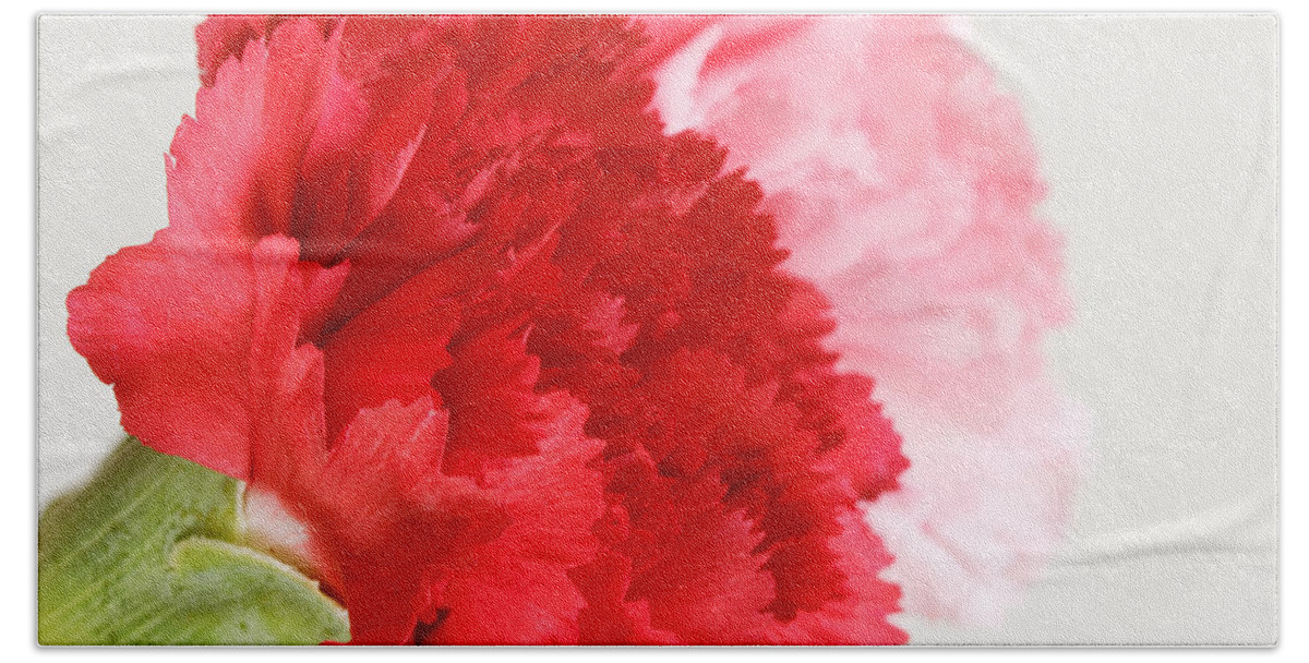 Arrangement Bath Towel featuring the photograph Carnation Flower #3 by Peter Lakomy