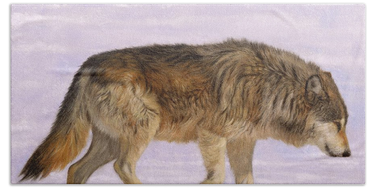 Wolf Bath Towel featuring the painting Grey Wolf #4 by David Stribbling