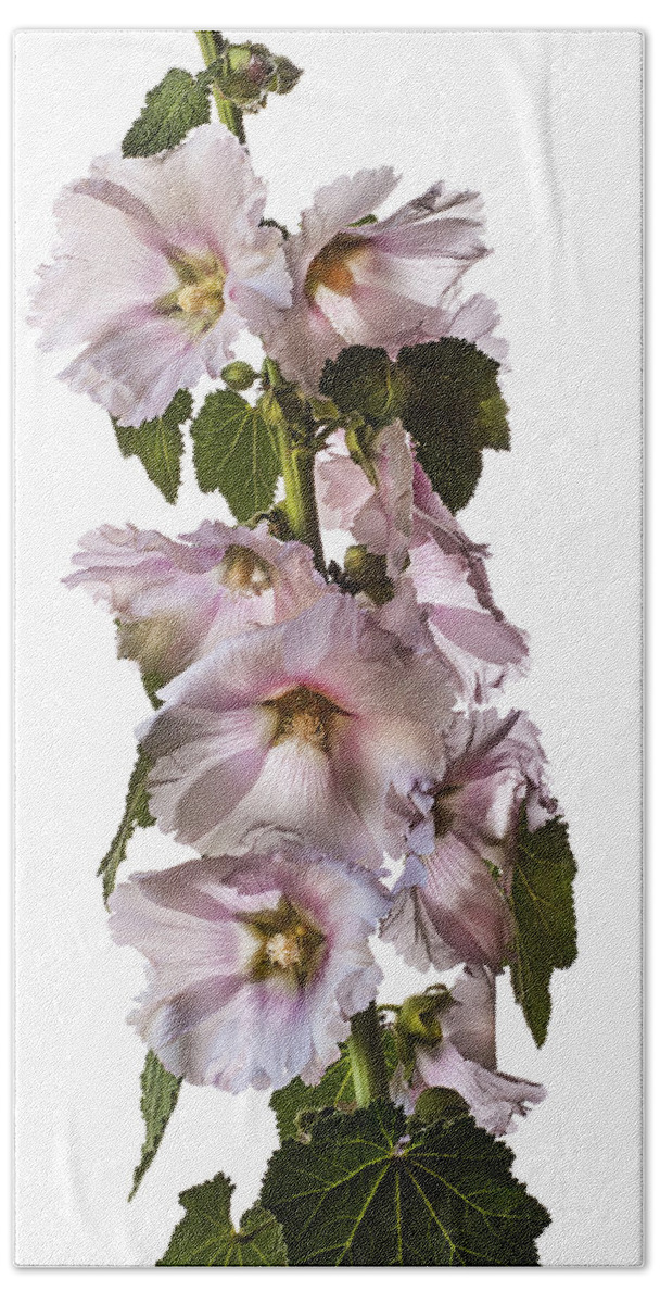 Flower Bath Towel featuring the photograph Hollyhock #3 by Endre Balogh