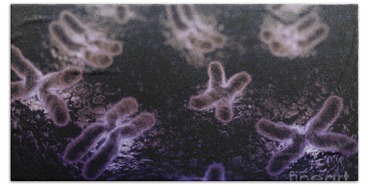 Digitally Generated Image Hand Towel featuring the photograph Human Chromosomes #3 by Science Picture Co