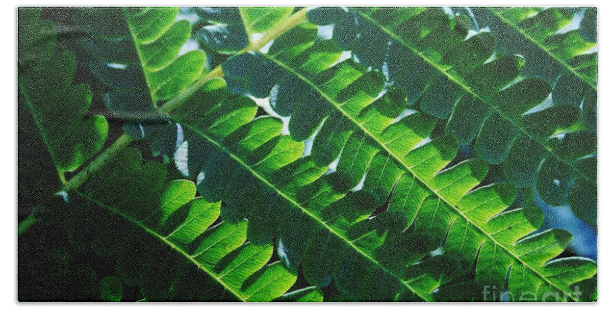 Fern Bath Towel featuring the photograph Leaves of Green by Neal Eslinger