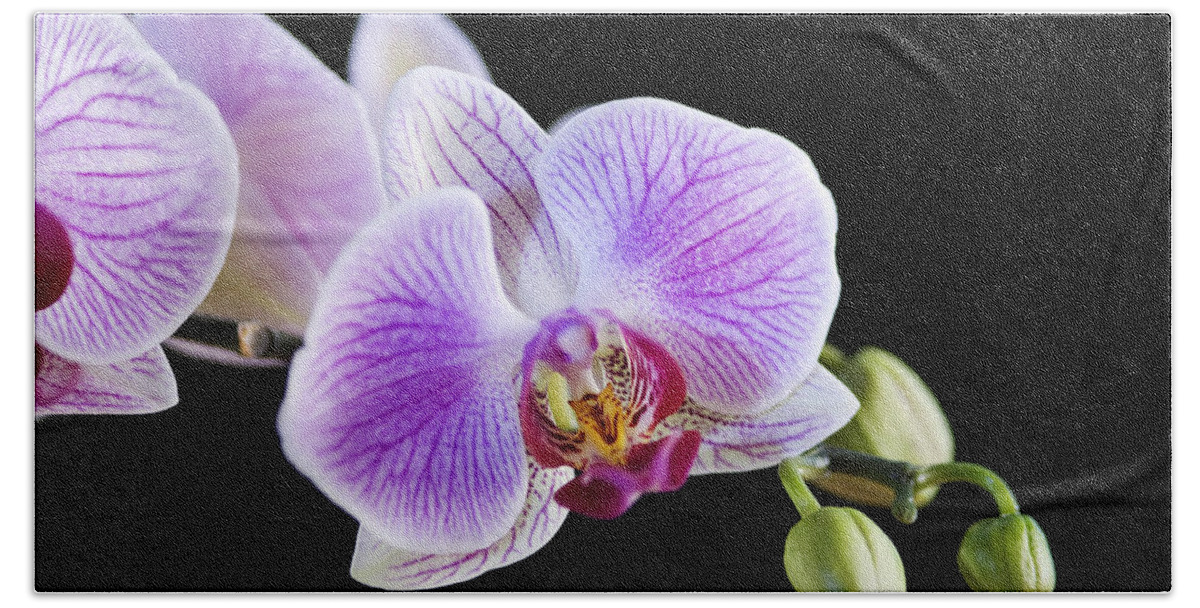 Orchid Bath Towel featuring the photograph Pink Orchid flower #1 by Michalakis Ppalis