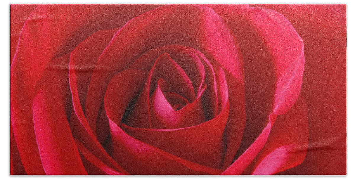Background Hand Towel featuring the photograph Red Rose by Peter Lakomy