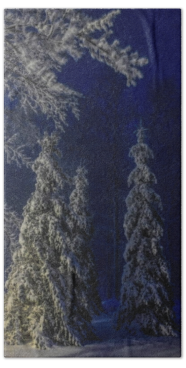 Winter Bath Towel featuring the photograph Rib Mountain State Park Snow by Dale Kauzlaric