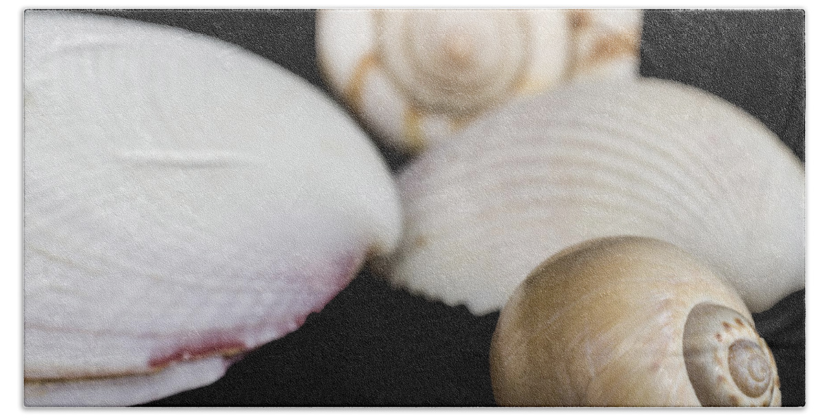 Marine Hand Towel featuring the photograph Seashells #3 by Paulo Goncalves