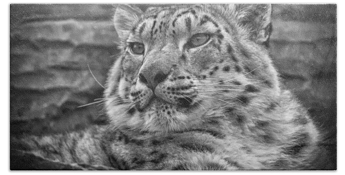 Marwell Bath Towel featuring the photograph Snow Leopard #3 by Chris Boulton