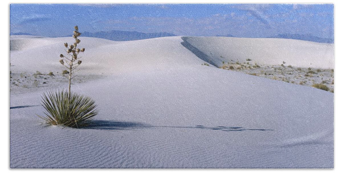 Feb0514 Bath Towel featuring the photograph Soaptree Yucca In Gypsum Dunes White #3 by Konrad Wothe