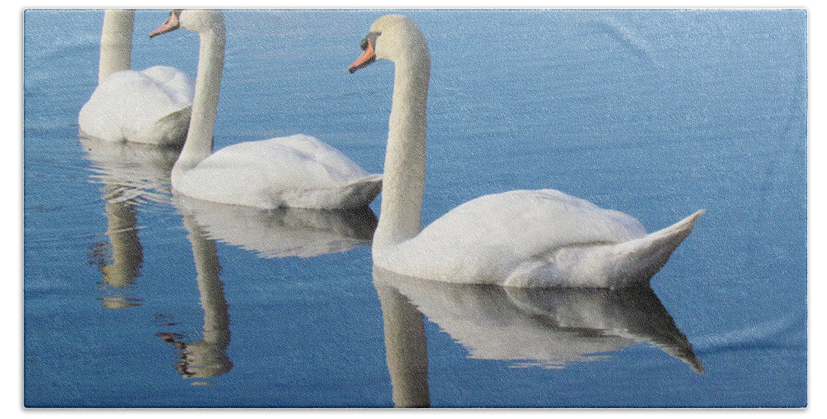 Swans Bath Towel featuring the photograph 3 Swans A-Swimming by Lori Lafargue
