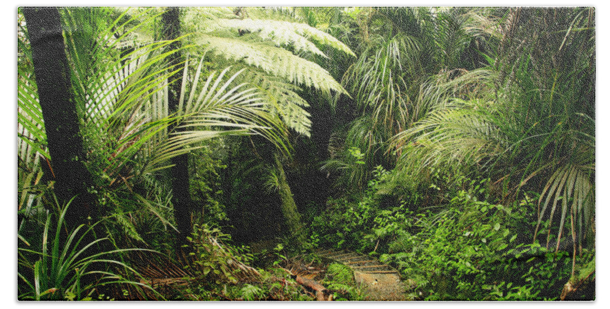 Jungle Bath Towel featuring the photograph Forest No1 by Les Cunliffe