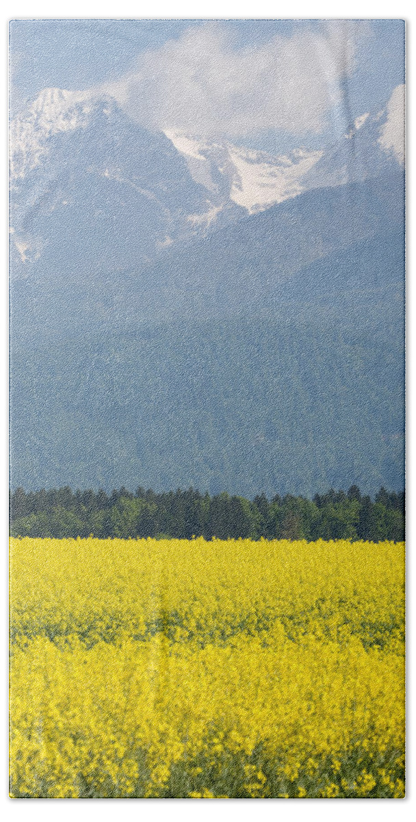 Brnik Bath Towel featuring the photograph rapeseed field in Brnik with Kamnik Alps in the background #4 by Ian Middleton