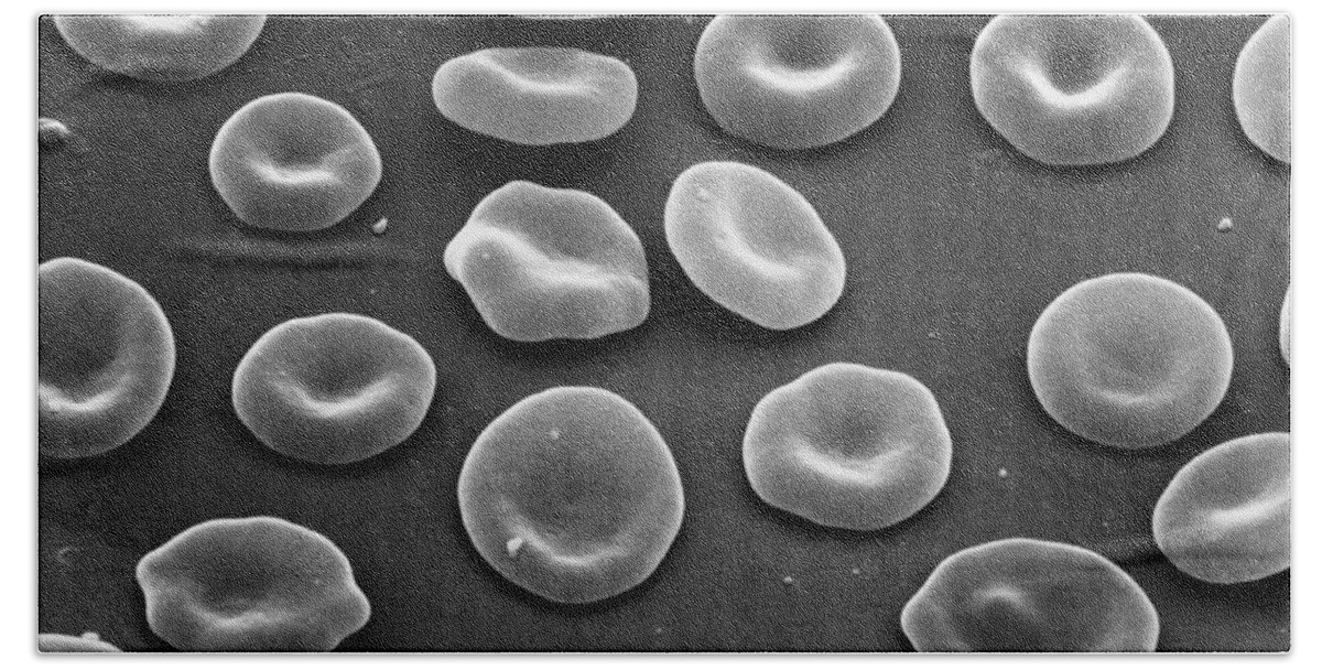 Science Bath Towel featuring the photograph Red Blood Cells Sem #4 by David M. Phillips