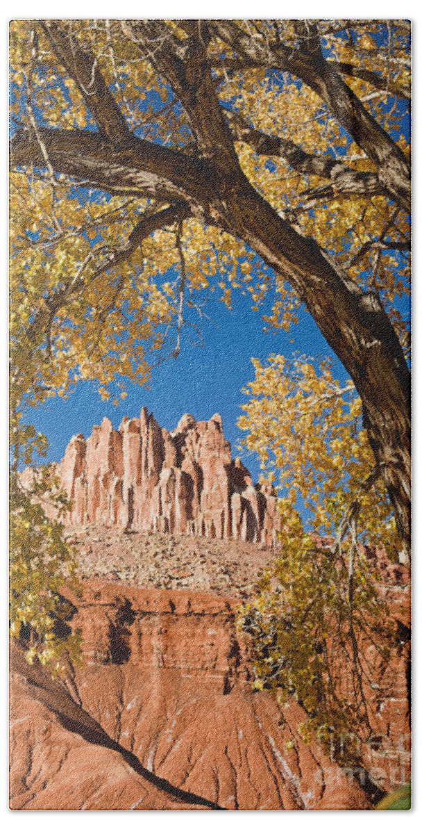 Afternoon Hand Towel featuring the photograph The Castle Capitol Reef National Park #4 by Fred Stearns