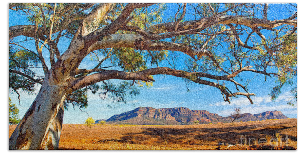 Wilpena Pound Flinders Ranges South Australia Outback Landscape Bath Towel featuring the photograph Wilpena Pound #13 by Bill Robinson