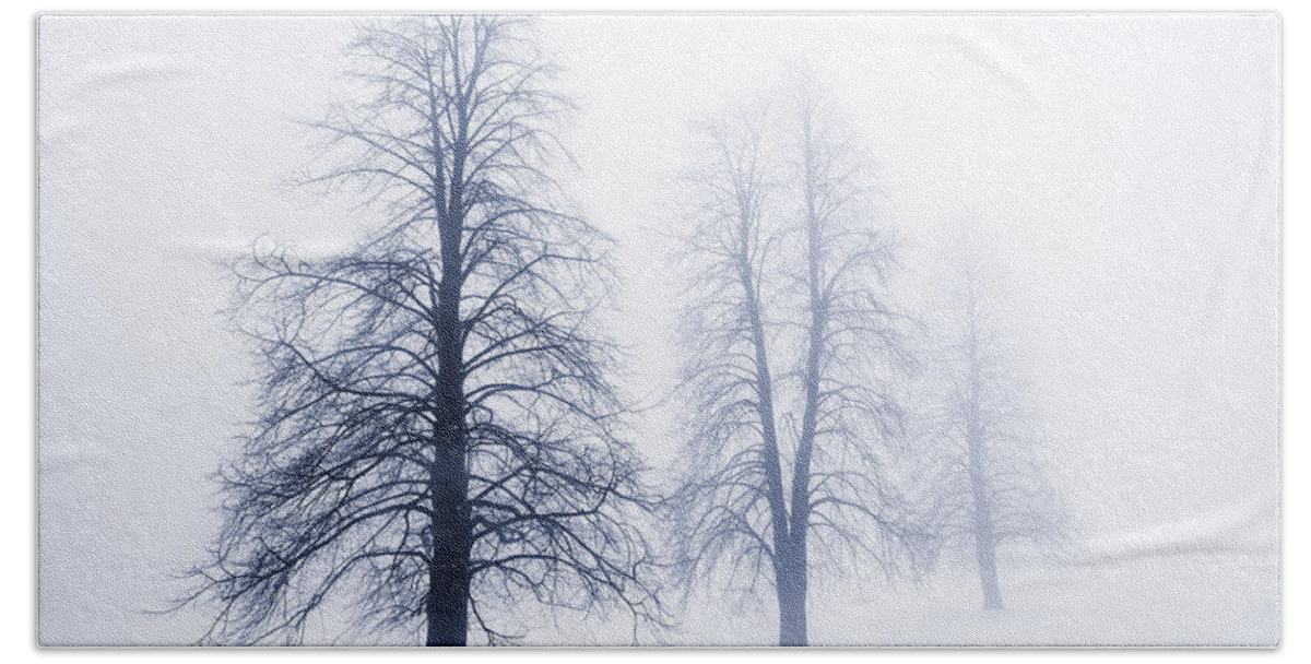 Trees Bath Towel featuring the photograph Winter trees in fog 6 by Elena Elisseeva