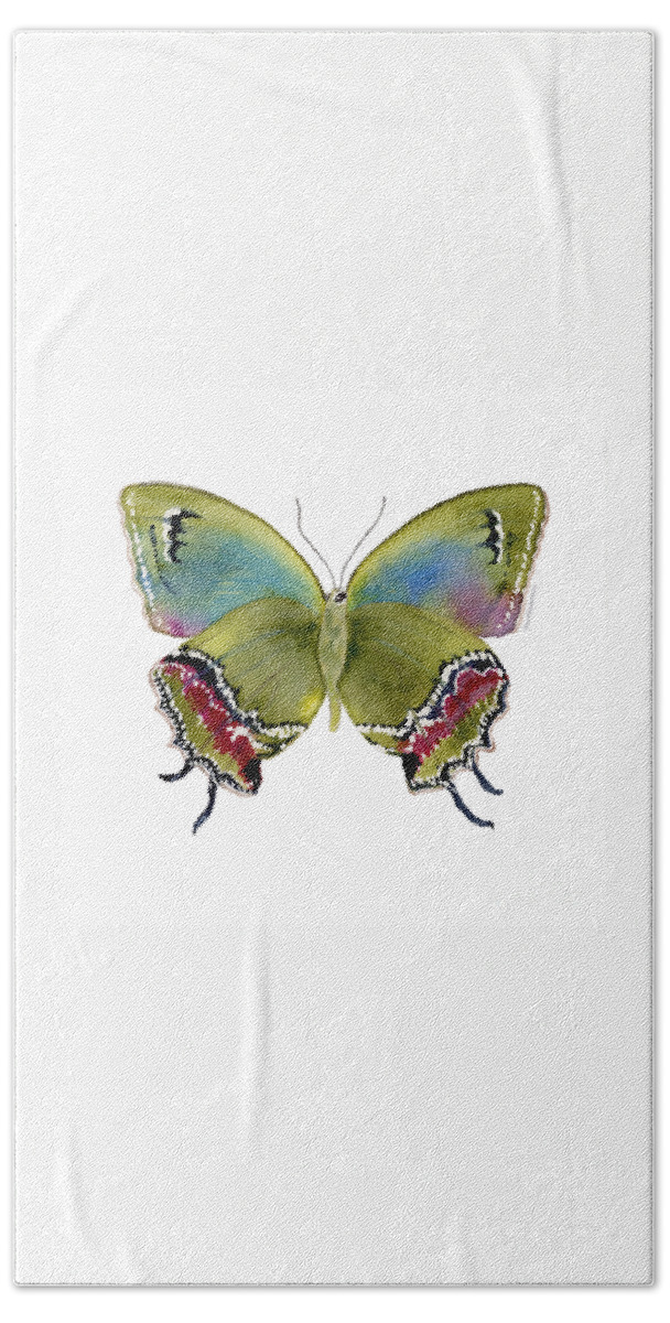 Evenus Hand Towel featuring the painting 46 Evenus Teresina Butterfly by Amy Kirkpatrick
