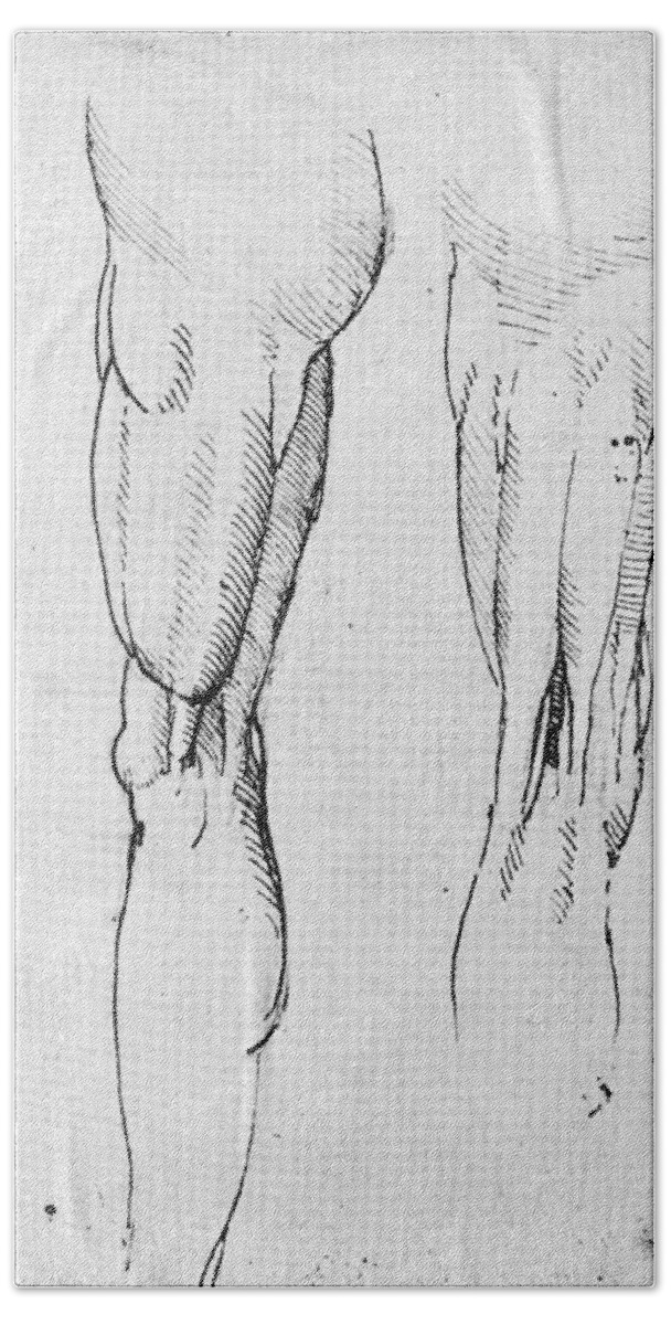 1505 Bath Sheet featuring the photograph Leonardo: Anatomy #5 by Granger