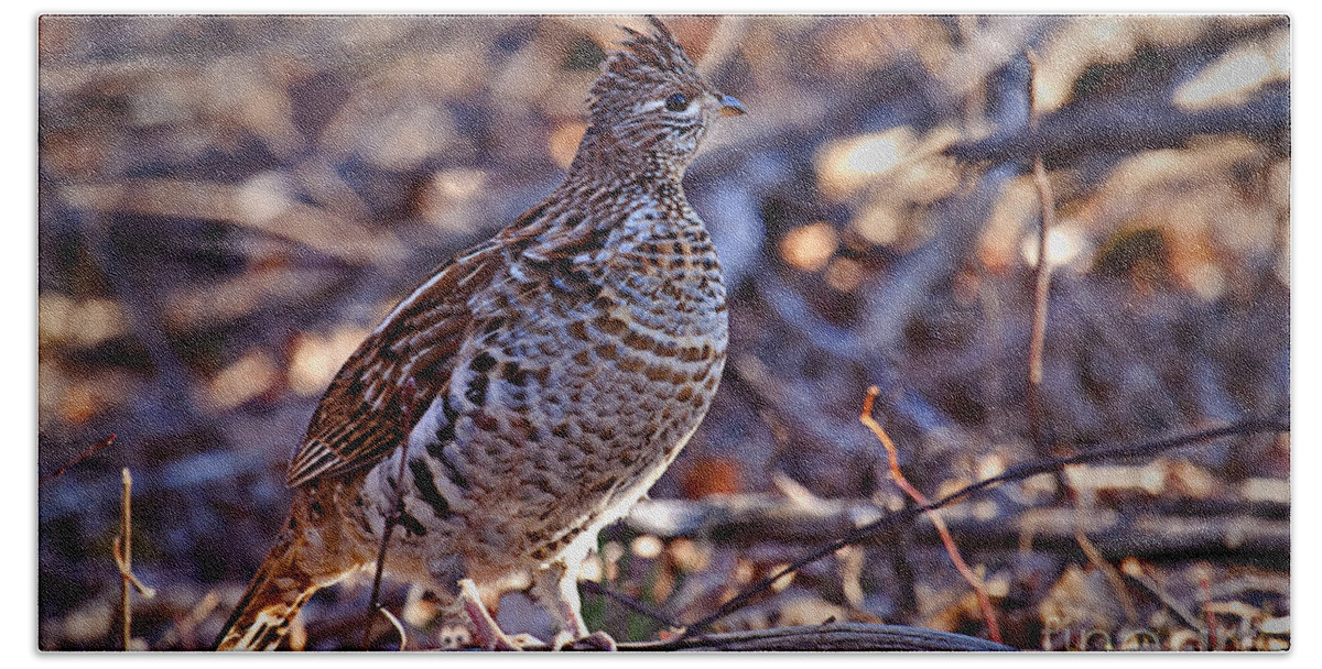 Bedford Bath Towel featuring the photograph Ruffed Grouse by Ronald Lutz